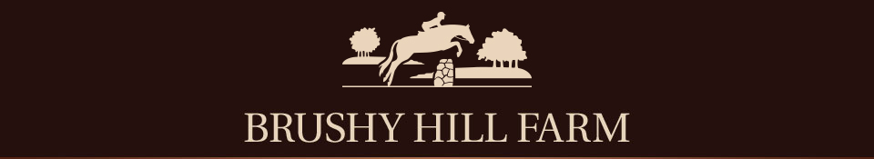 BHF Logo