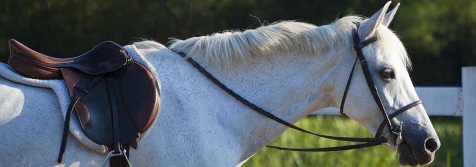 two manequines in window