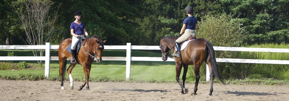 camper and mini horse