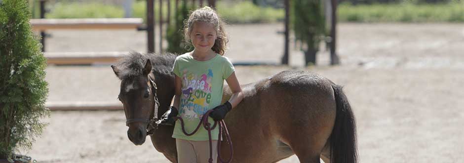 camper and mini horse