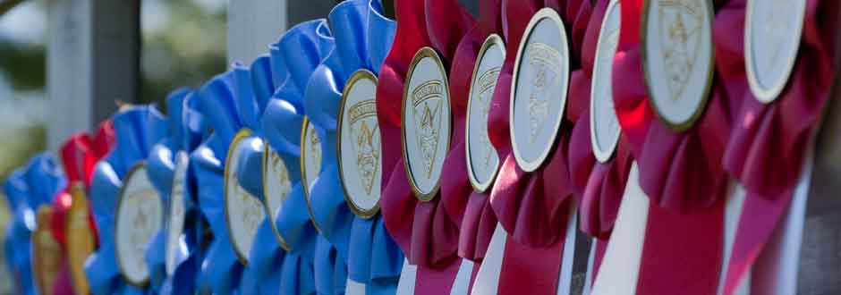 Ribbons
