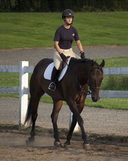 Whitney Trotting